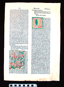 Thumbnail of Folio: Bible  (1937.04.0006)