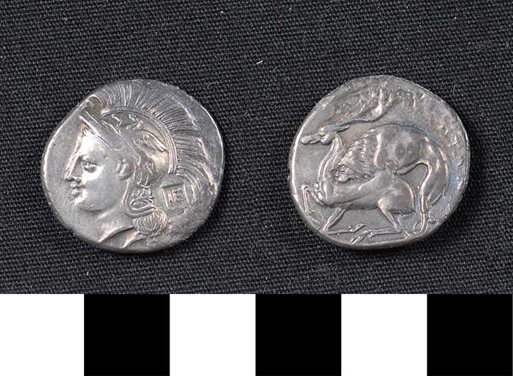 Thumbnail of Coin: Didrachm, Velia (1900.63.0002)