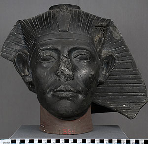 Thumbnail of Plaster Cast of Portrait Head: Sesostris III (1948.01.0050)