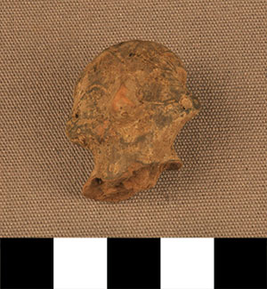 Thumbnail of Figurine Fragment: Head (2000.17.0009)