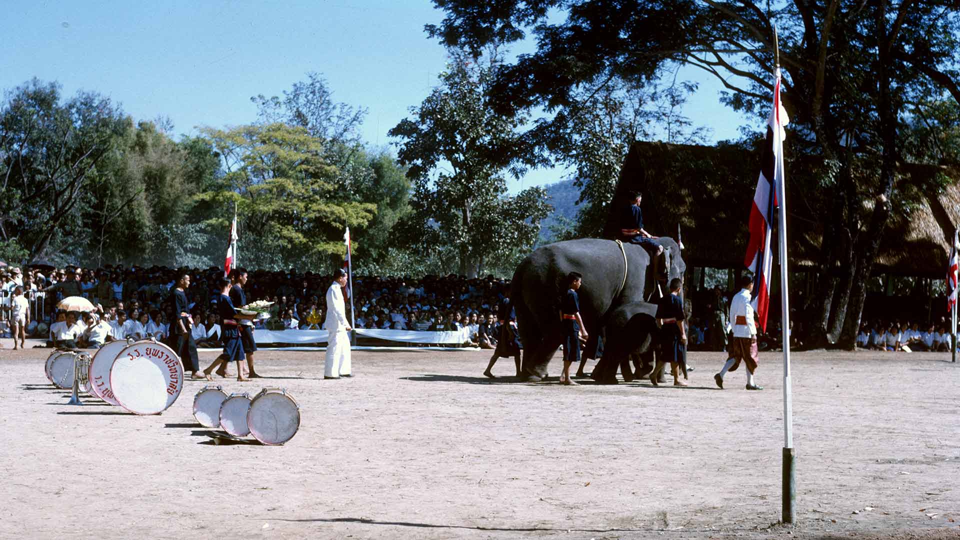 an elephant is led across temple grounds