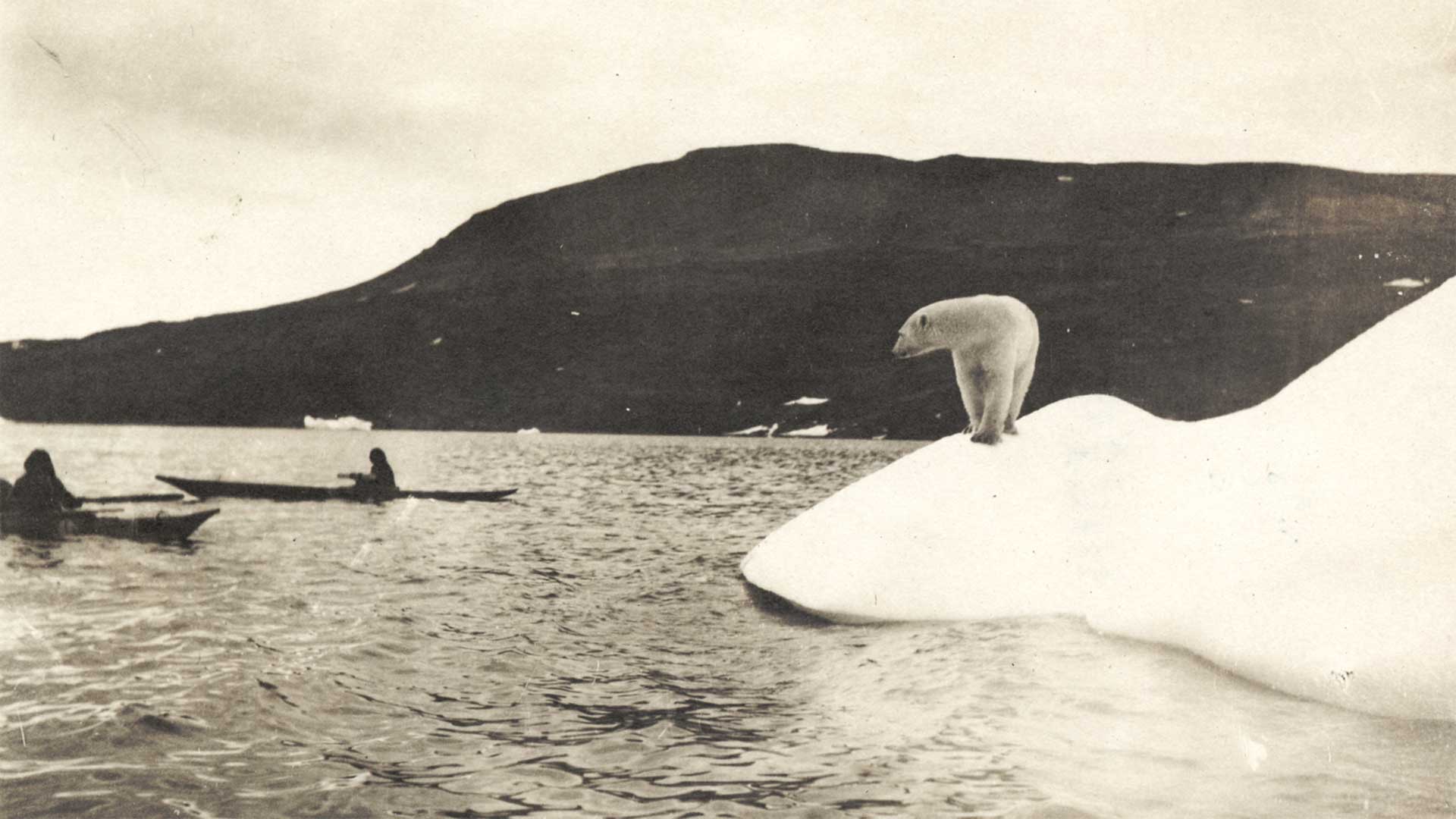 vintage photo of polar bear watching people in canoes