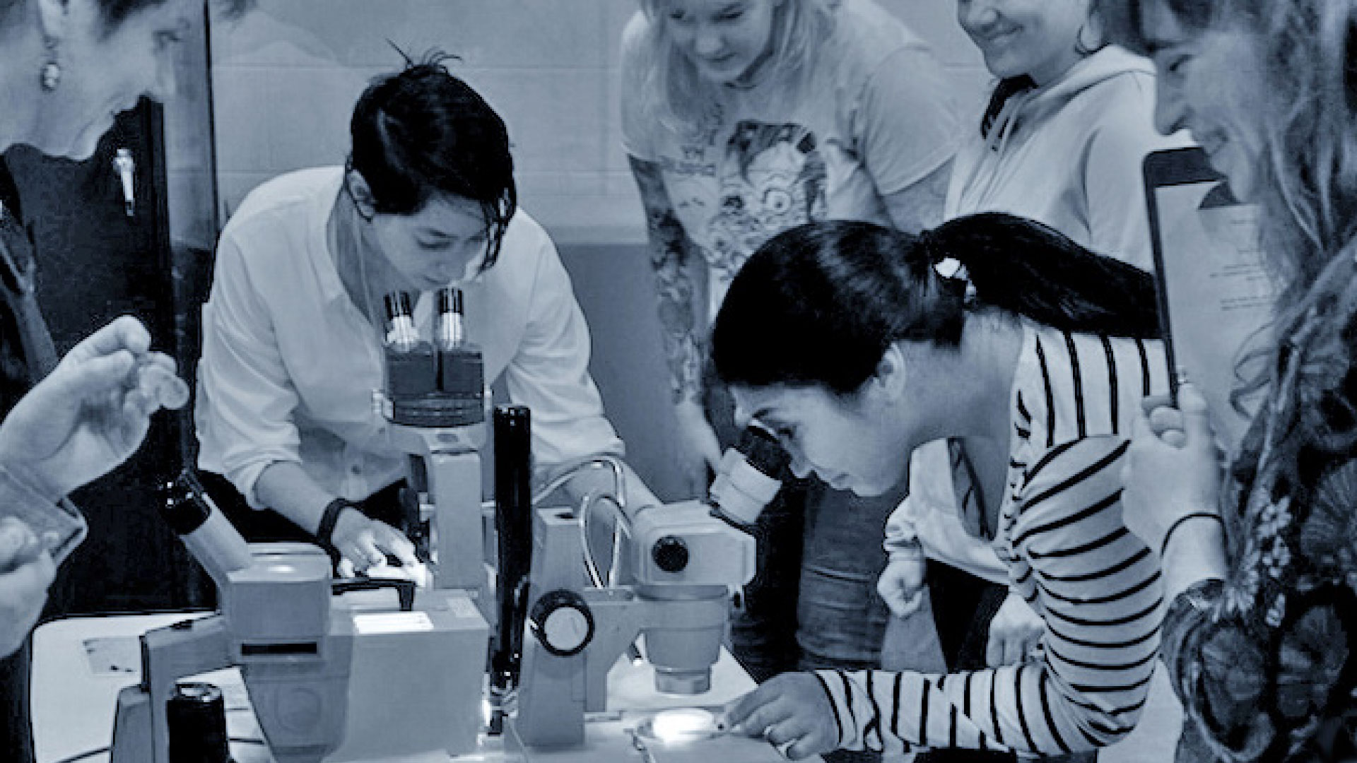 Two students look through microscopes as others look on
