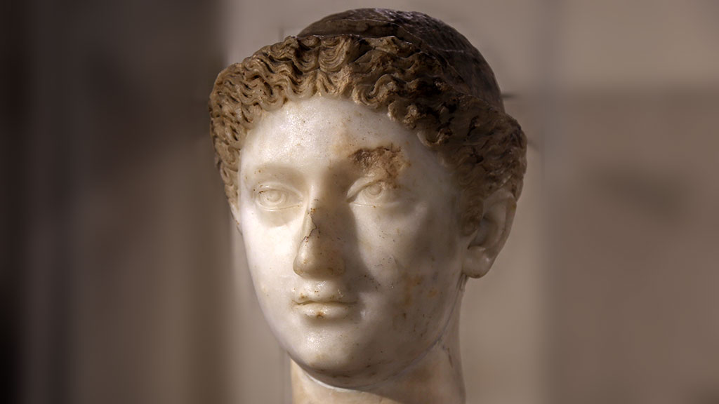 bust of a woman with brownish curly hair