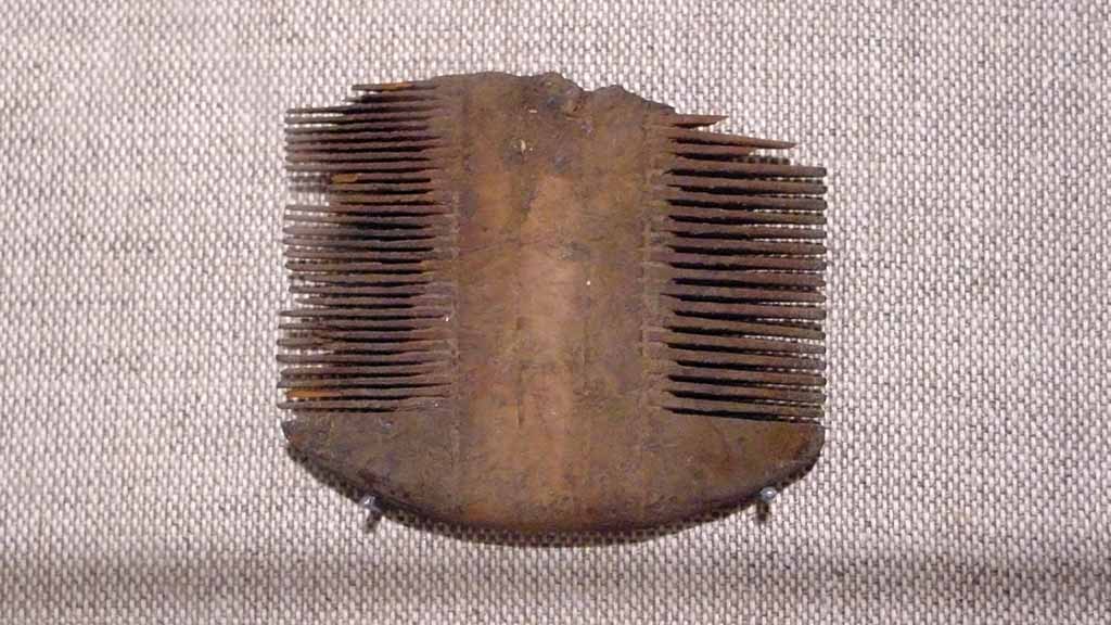 fine-toothed comb with tines on both sides