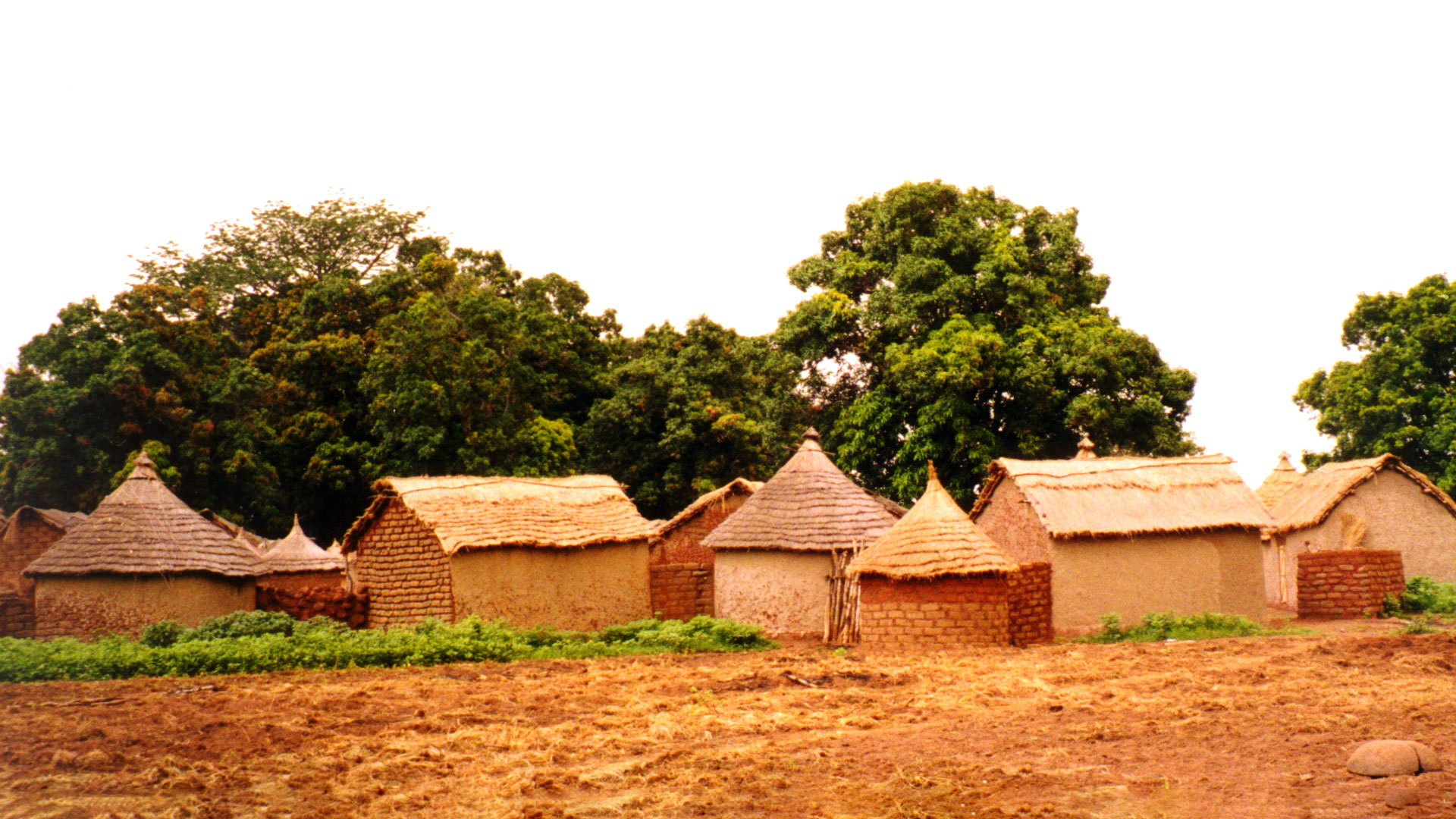 A Senufo Tagba Village
