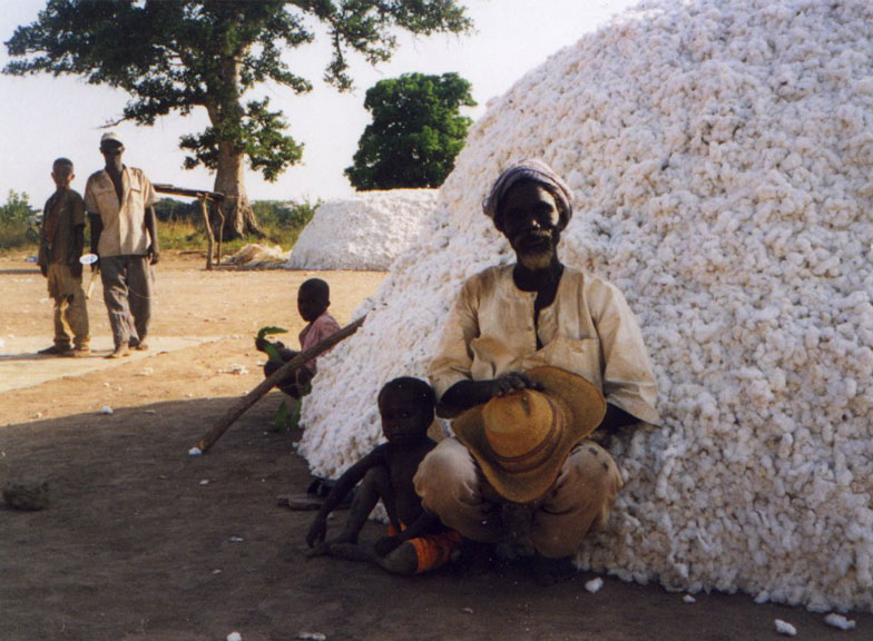 a man sitting in front of a mound of cotton