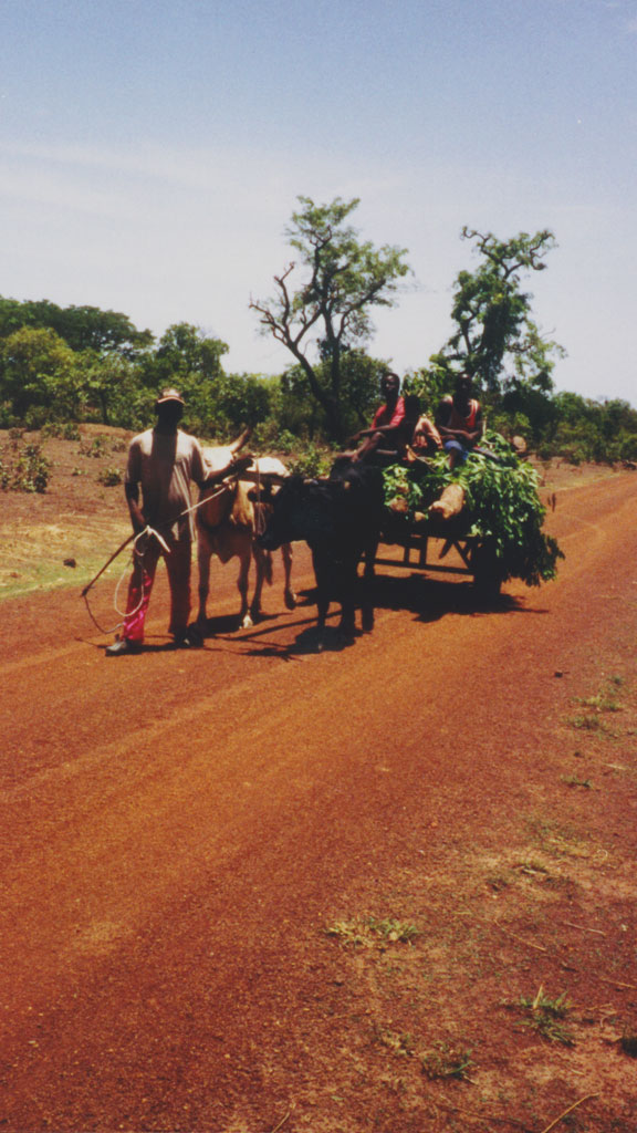 farmers riding a wagon pulled by animals
