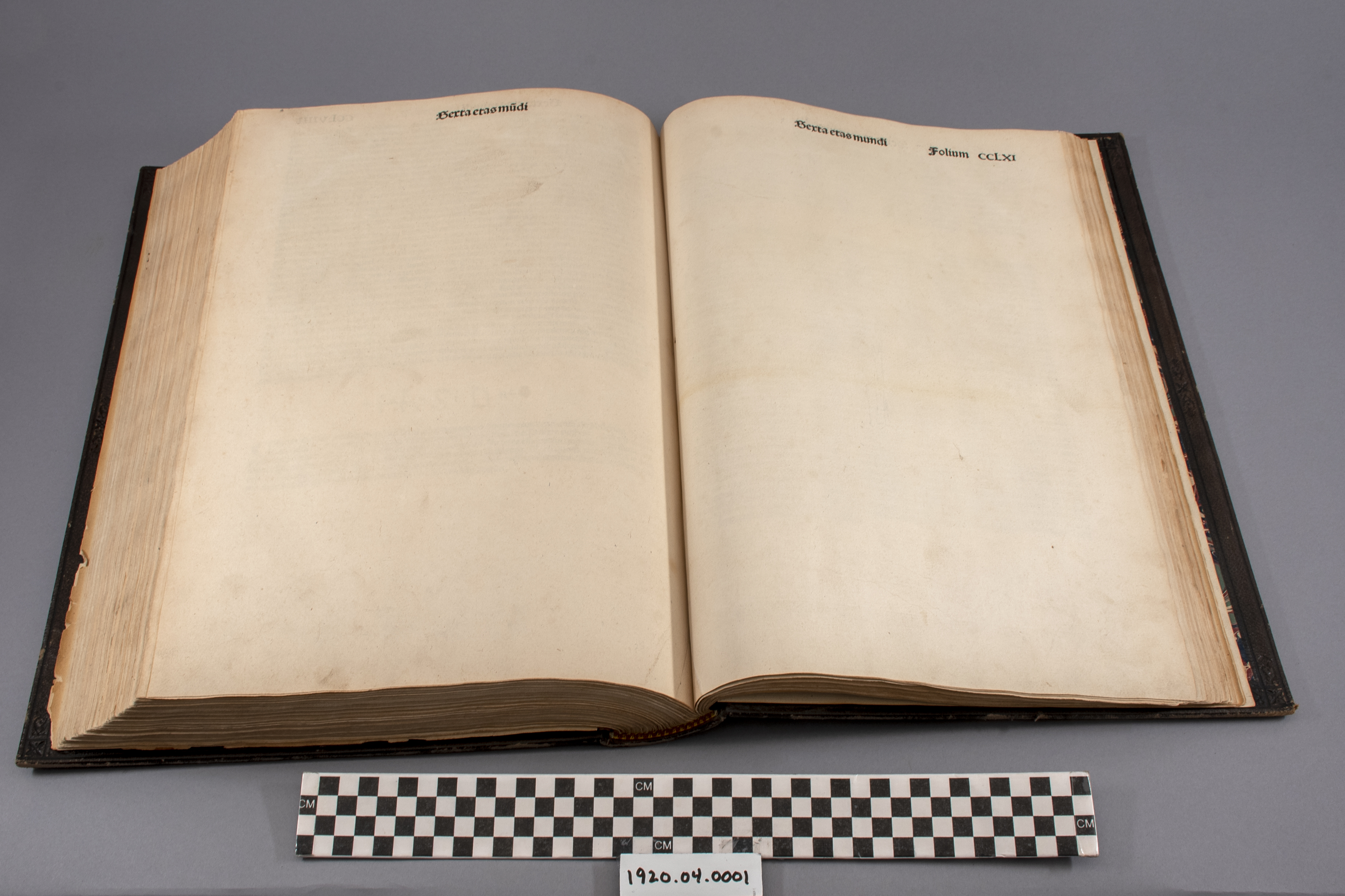 Columbus reports on his first voyage, 1493  Gilder Lehrman Institute of  American History