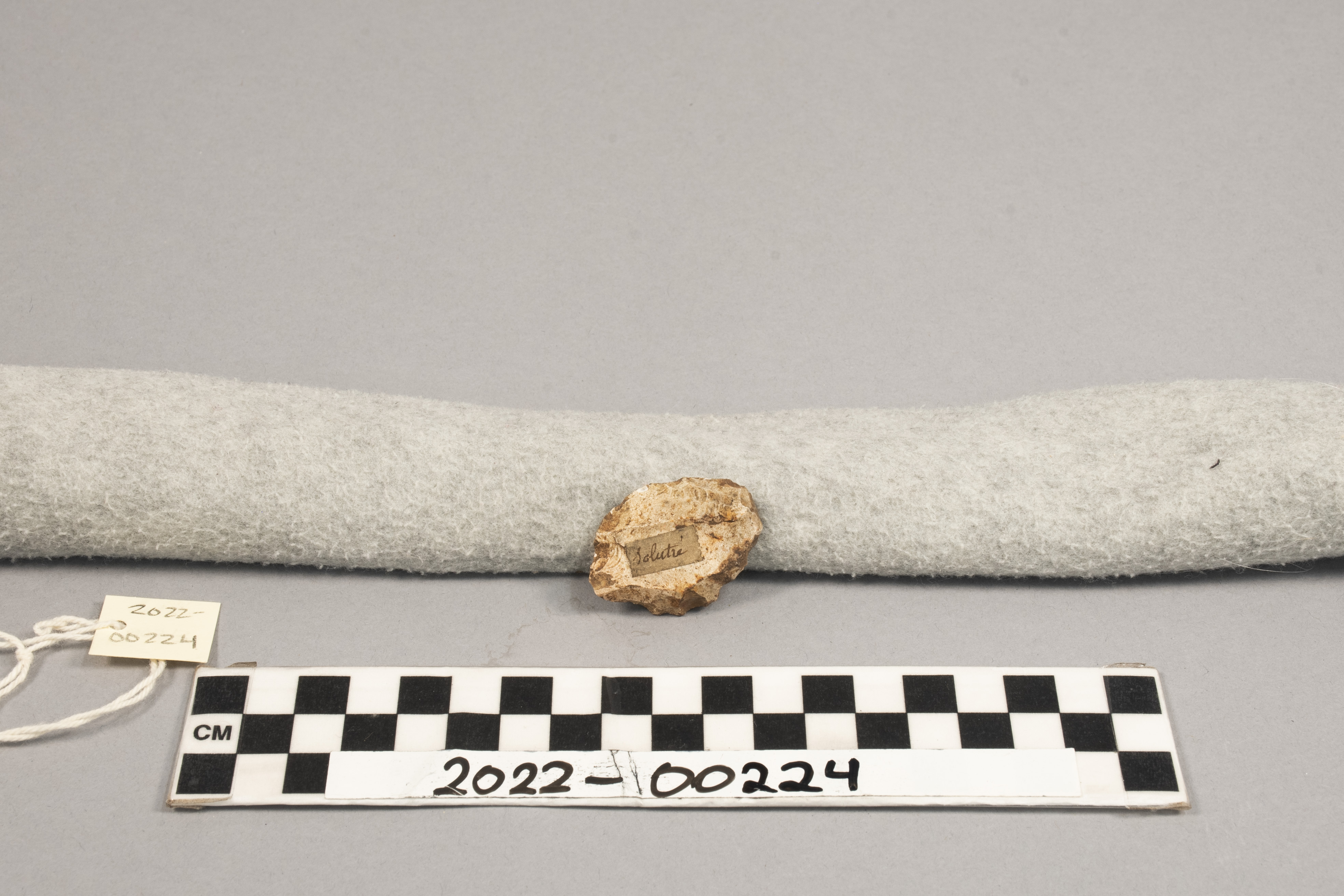 Stone Tool: Side Scraper, Search the Collection, Spurlock