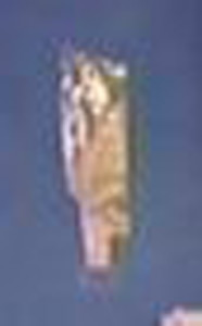 Thumbnail of Painted Mummy Portrait Panel Fragment ()