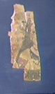 Thumbnail of Painted Portrait Panel Fragment from Mummification Process (1912.01.0033)