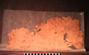 Thumbnail of Shroud Fragment from Mummification Process (1923.01.0032)
