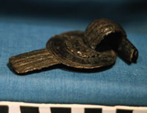 Thumbnail of Fibula (1924.02.0077)