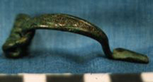 Thumbnail of Fibula (1924.02.0427)