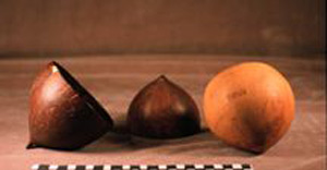 Thumbnail of Bowl (1924.06.0001A)