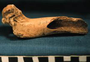 Thumbnail of Biospecimen: Hollow Bone Fragment (1930.08.0056)