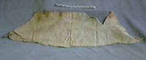 Thumbnail of Cloth Fragment (1972.22.0007)