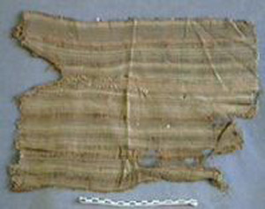 Thumbnail of Shroud Fragment (1972.22.0010)