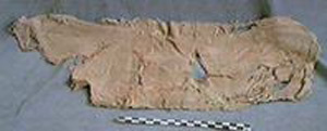 Thumbnail of Cloth Fragment (1972.22.0012)