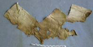 Thumbnail of Cloth Fragment (1972.22.0014)