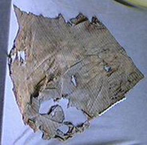 Thumbnail of Shroud Fragment (1972.22.0020)