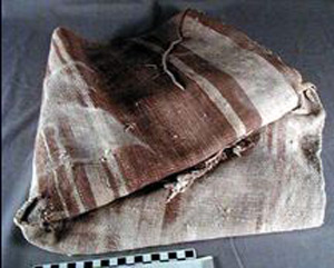 Thumbnail of Cloth Fragment (1972.22.0028)