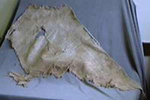 Thumbnail of Shroud Fragment (1972.22.0029)