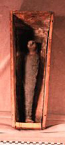 Thumbnail of Mummified Falcon (1989.07.0002A)