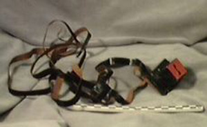 Thumbnail of Tefillin (1992.17.0003B)