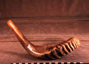 Thumbnail of Shofar (1993.12.0001)