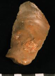 Thumbnail of Stone Tool: Flaked Scraper (1900.20.0009)