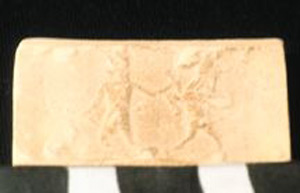Thumbnail of Impression of Cylinder Seal by Edith Porada (1900.53.0051B)