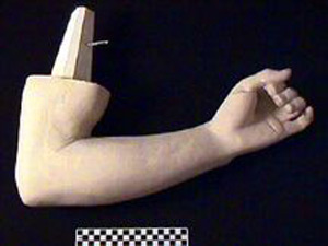 Thumbnail of Plaster Cast of  Lower Left Arm and Elbow  of Roman Statue of Doryphoros (Spear Carrier) from Pompeii (1912.02.0001C)