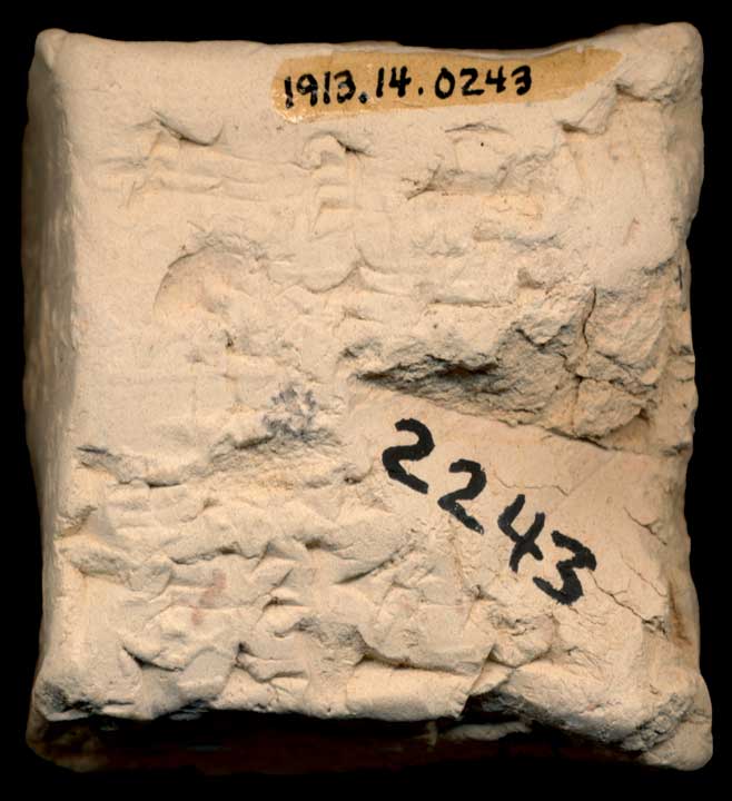 Thumbnail of Cuneiform Tablet (1913.14.0243)