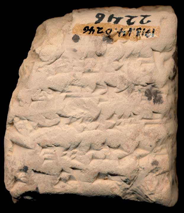 Thumbnail of Cuneiform Tablet (1913.14.0246)
