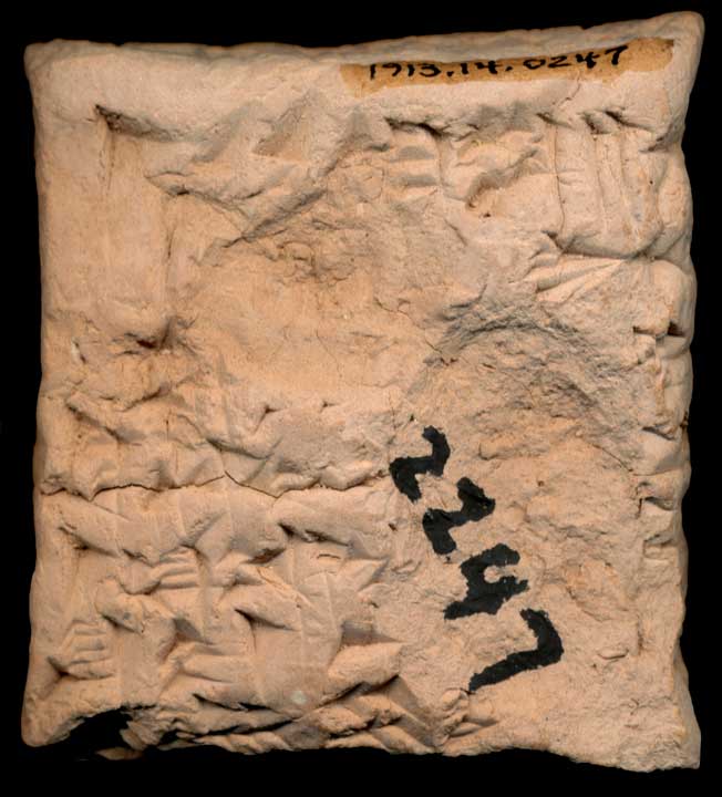 Thumbnail of Cuneiform Tablet (1913.14.0247)