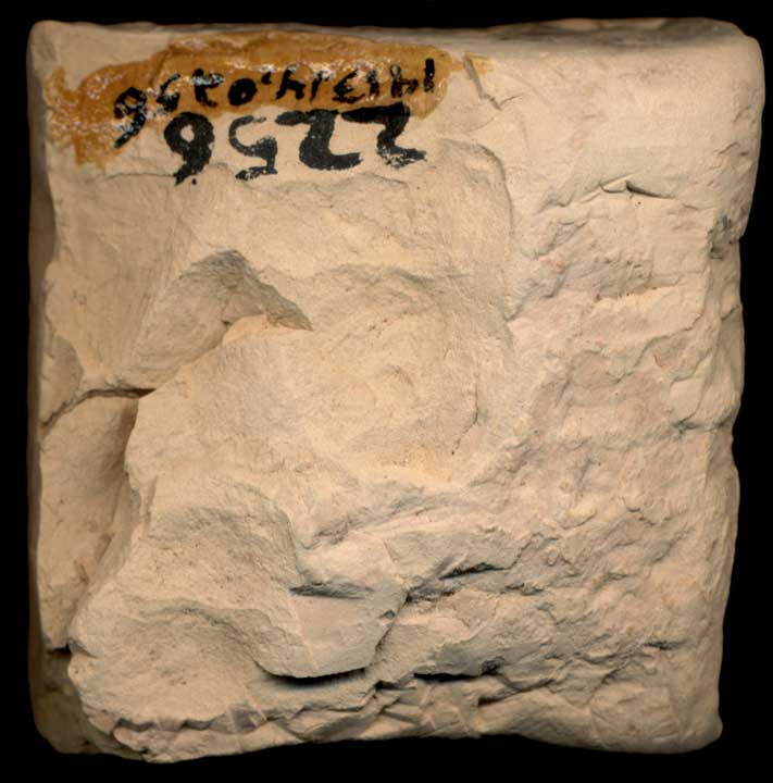 Thumbnail of Cuneiform Tablet (1913.14.0256)