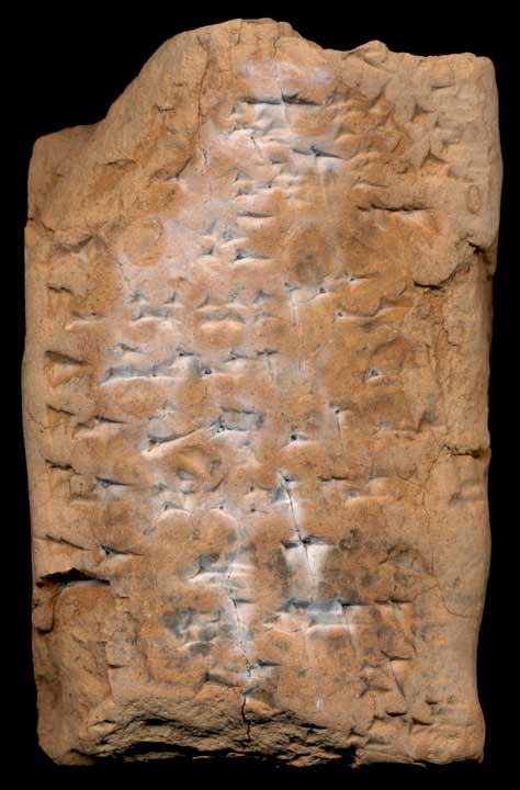 Thumbnail of Cuneiform Tablet (1913.14.0262)