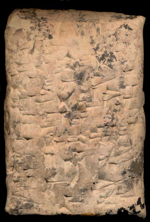 Thumbnail of Cuneiform Tablet (1913.14.0263)