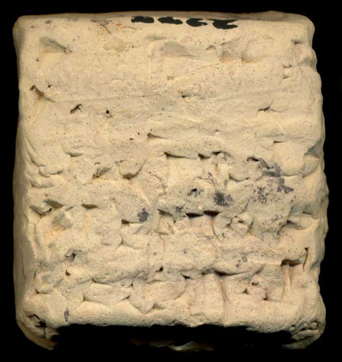 Thumbnail of Cuneiform Tablet (1913.14.0273)