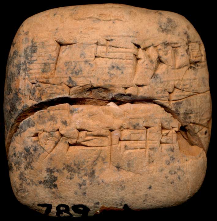Thumbnail of Cuneiform Tablet (1913.14.1195)