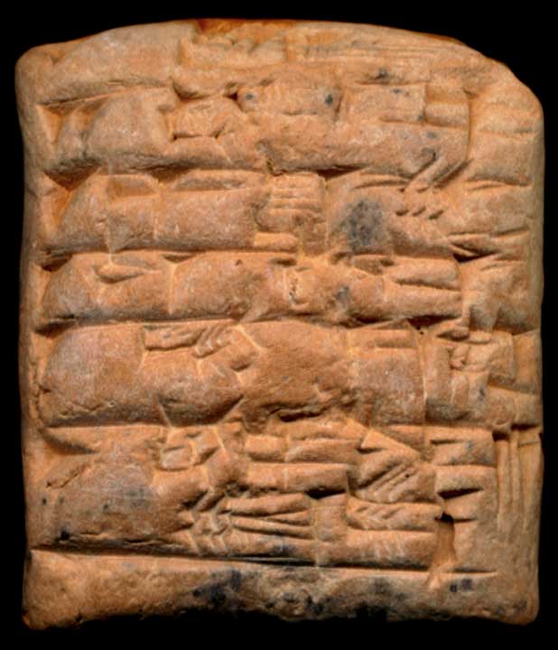 Thumbnail of Cuneiform Tablet (1913.14.1236)