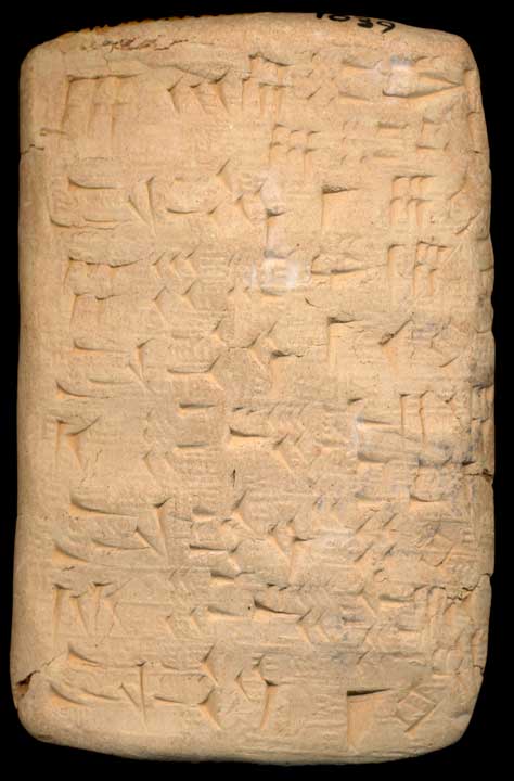 Thumbnail of Cuneiform Tablet (1913.14.1445)