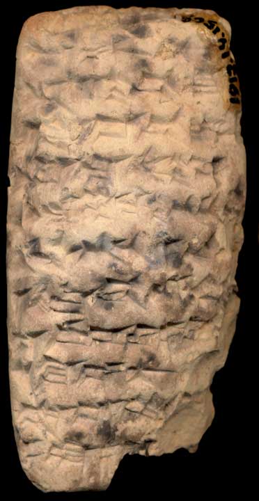 Thumbnail of Neo-Babylonian Cuneiform Tablet (1913.14.1509)