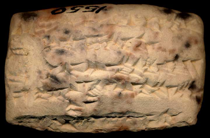 Thumbnail of Neo-Babylonian Cuneiform Tablet (1913.14.1550)