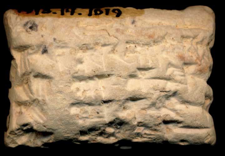 Thumbnail of Neo-Babylonian Cuneiform Tablet (1913.14.1619)