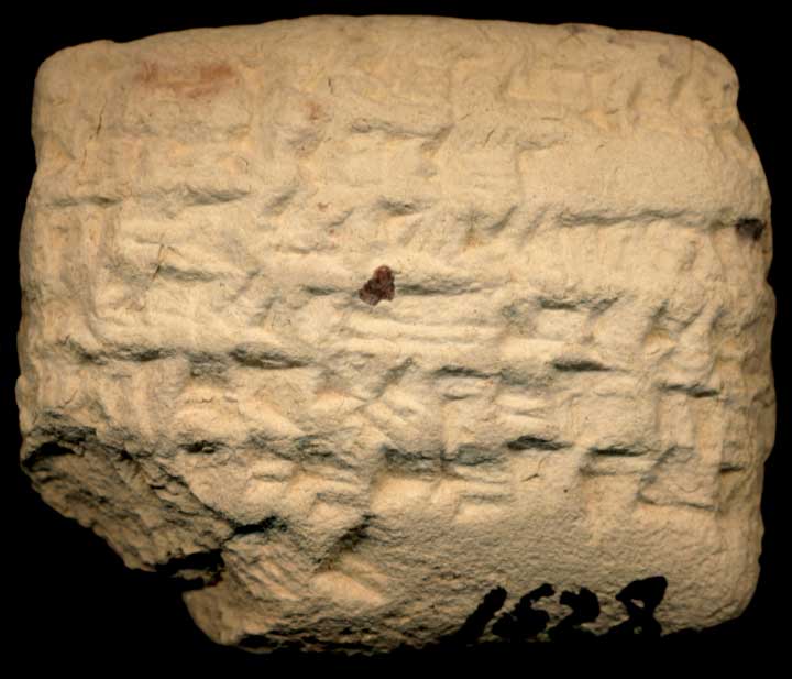 Thumbnail of Neo-Babylonian Cuneiform Tablet (1913.14.1628)