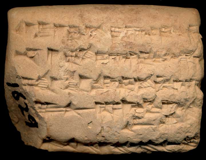 Thumbnail of Neo-Babylonian Cuneiform Tablet (1913.14.1629)