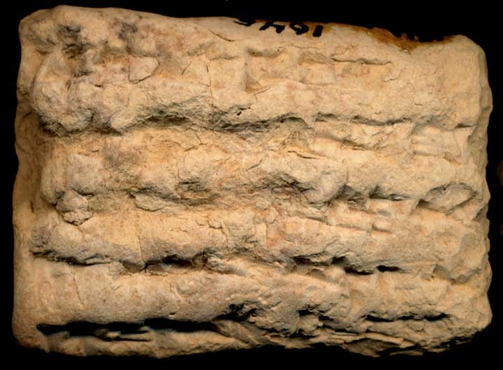 Thumbnail of Neo-Babylonian Cuneiform Tablet (1913.14.1645)